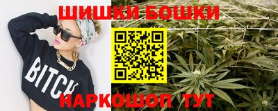 индика Рузаевка