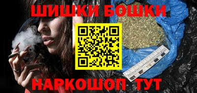 индика Рузаевка