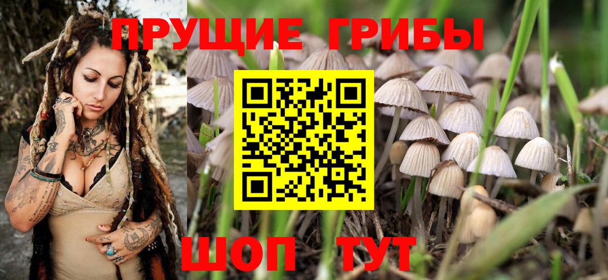 Галлюциногенные грибы мухоморы  Вход с VPN  Орехово-Зуево 